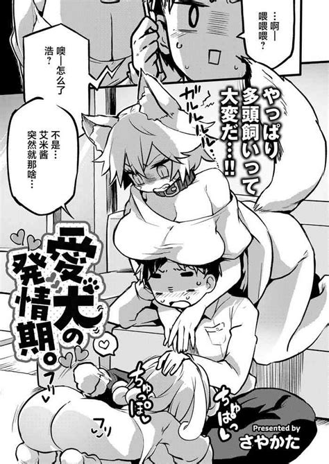 Aiken No Hatsujyouuki Nhentai Hentai Doujinshi And Manga