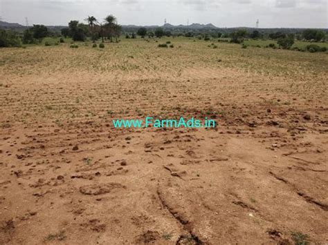 Acres Guntas Agriculture Land For Sale Near Veldanda Nagarkurnool