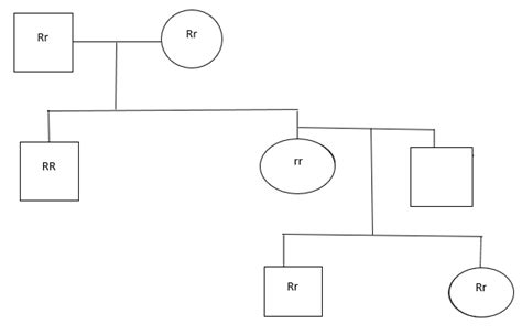 The pedigree shows the occurrence of albinism, which is a recessive trait. If person 4 is ...