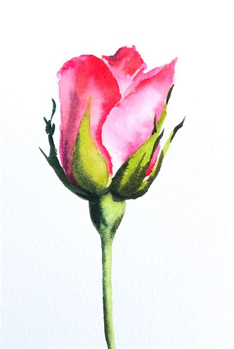 Red Rose Bud Painting Original Watercolor Painting X Etsy