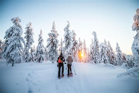 Rovaniemi Schneeschuh Abenteuer In Der Wildnis Getyourguide