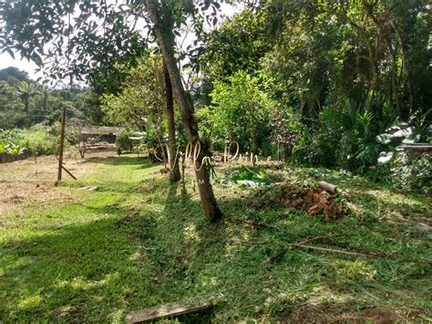 Chácara 2 dorms Barro Branco Ribeirão Pires R 300 mil Cod 205