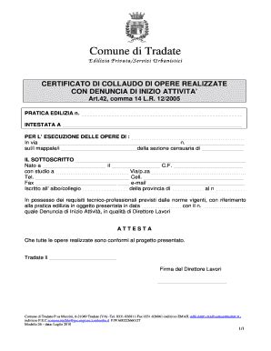 Fillable Online Comune Tradate Va 26 CERTIFICATO DI COLLAUDO DI OPERE