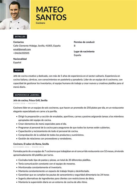 Curriculum Vitae Of Chef Riset