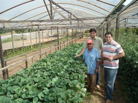 Lupa Levantamento Censit Rio Das Unidades De Produ O Agropecu Ria Do