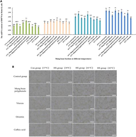 Frontiers Screening Of Heat Stress Regulating Active Fractions In