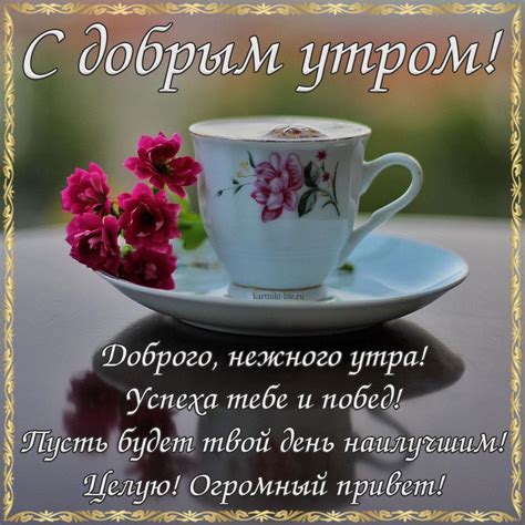 С добрым утром! Доброго, нежного утра! Успеха тебе и побед! Пусть будет ...