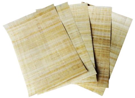 Blank Papyrus A Size Balkan Trading Company Suppliers Of