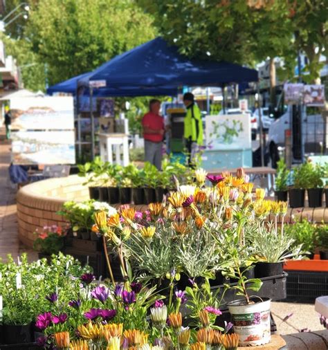 Mornington Main Street Market Main Street Mornington