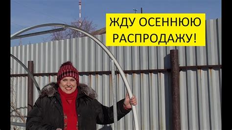 Чудо – теплица с мая по ноябрь. Честный обзор после двух лет ...