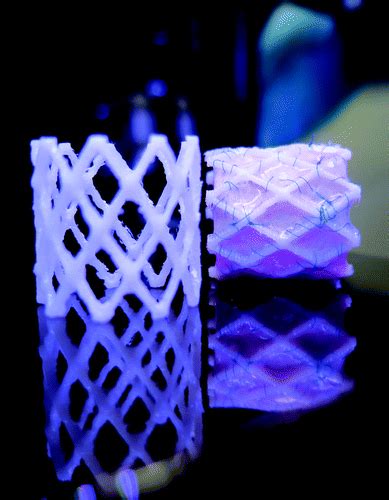 3d Printed Heart Valve