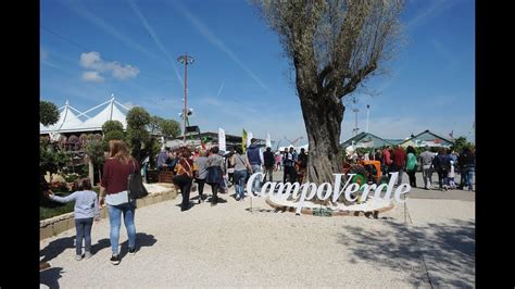 Momenti Di Allestimento Alla Mostra Agricola Campoverde Youtube