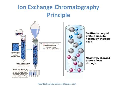 Chromatography Ion Exchange