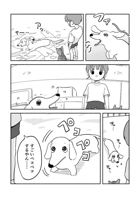 「叱られの気配を察知した犬猫12」ちとせの漫画