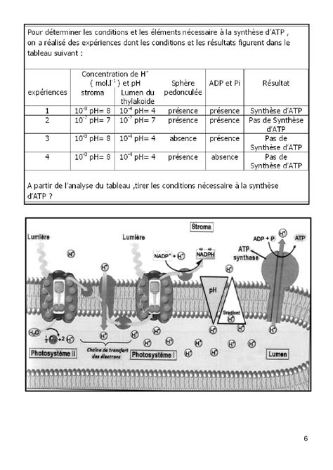 M Canisme De La Photosynth Se Documents Alloschool