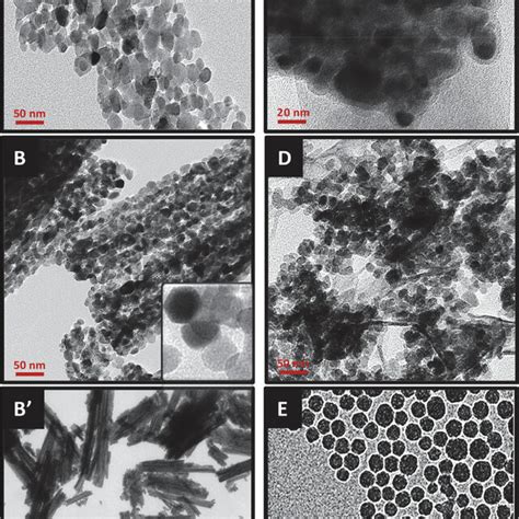 TEM Images Of A ZnO NPs B And B Different Magnifications Of ZnO