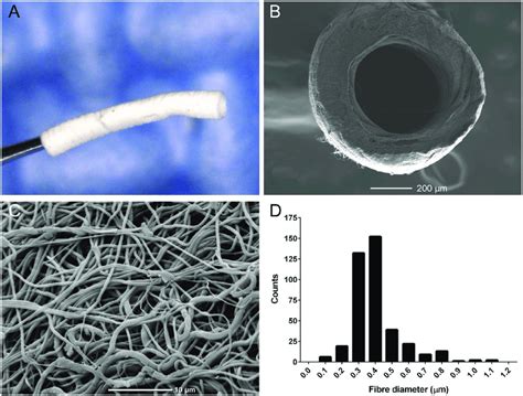 Characterisation Of Electrospun PCL Graft A Macroscopic Image Of PCL