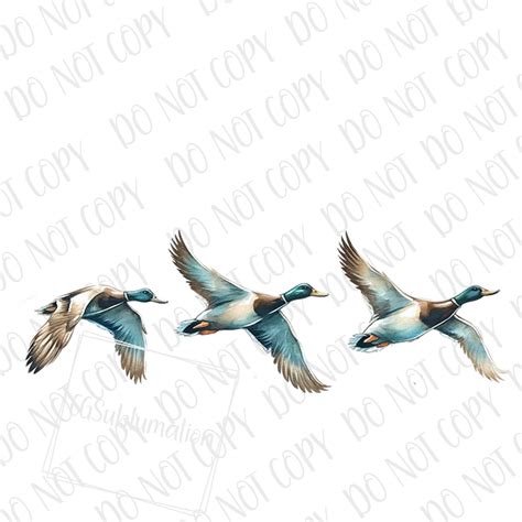 Mallard Duck Hunting Png Hunter Sublimation Design Ducks Flying