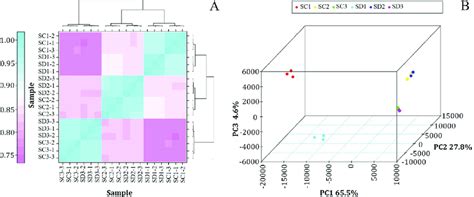 Principal Component Analysis A And Cluster Analysis B Of Download Scientific Diagram