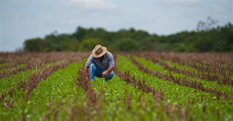 Manual de Boas Práticas Agrícolas Usina Santa Adélia