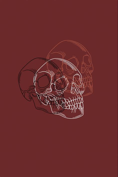 Skull Wallpaper Graphic Fondos De Pantalla Divertidos Para Iphone