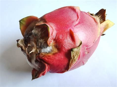 Dragon Fruit Rot Photos Free Royalty Free Stock Photos From Dreamstime