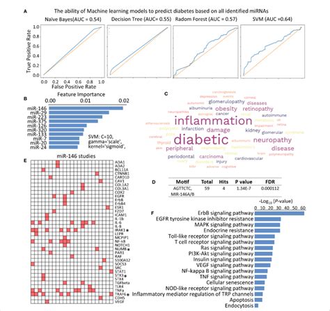 Identifying The Function Of Mir 146 In Diabetes A Receive Operating