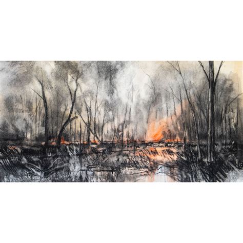 Fire in the Pilliga by Maree Kelly