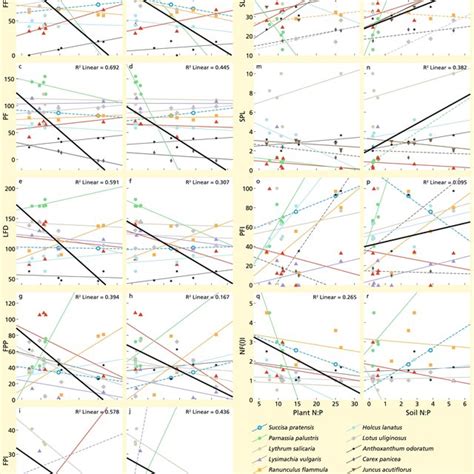 Intra And Interspecific Differences In Trait Expression Along Plant Download Scientific