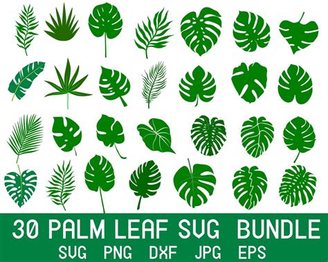 Palmen Blatt Svg Monstera Blatt Svg Herbstbl Tter Svg Tropische