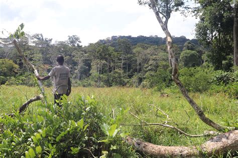 The Indigenous Communities Sircb