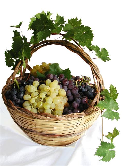 Grapes in basket Free Photo Download | FreeImages