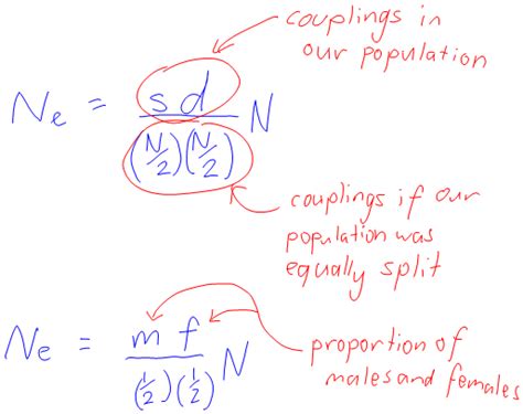 Making sense of the effective population size formula - Making Your Own ...