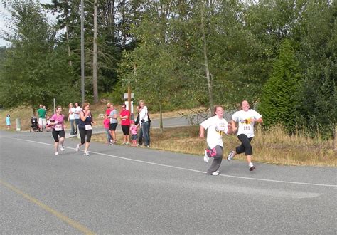 Camano View Dash