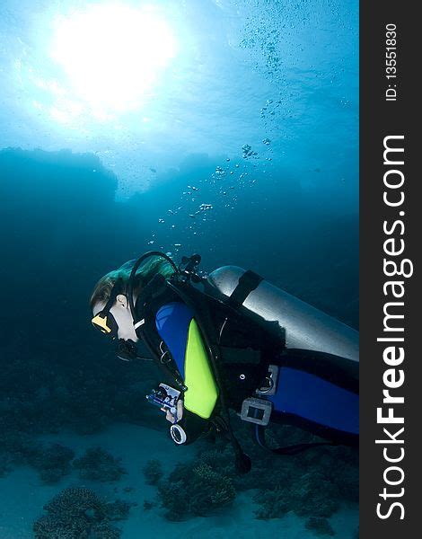 95 Female Diver Free Stock Photos StockFreeImages