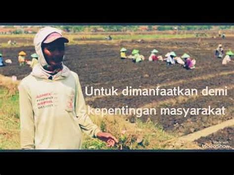 400 Ribu Hektar Lahan Terlantar Di Indonesia YouTube