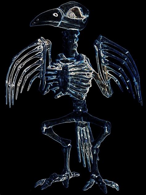 "CROW SKELETON" by BOLLA67 | Redbubble