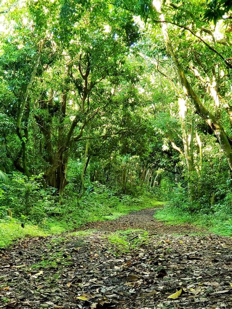 St. Kitts Tourism on Twitter: "#StKitts has more than just beautiful