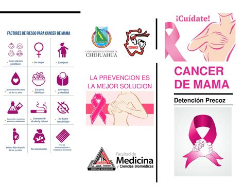 Triptico De Cáncer De Mama La Prevencion Es La Mejor Solucion Cancer De Mama Detención Precoz