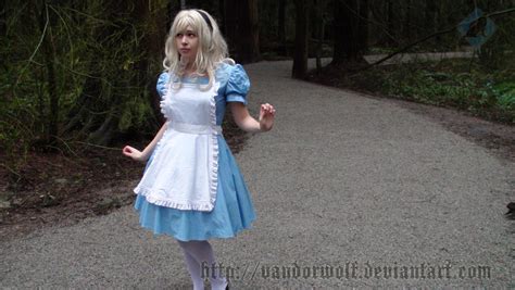 Alice In Wonderland Which Way By Vandorwolf On Deviantart