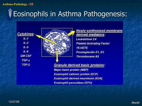 Asthma Pathophysiology N Ppt Free Download