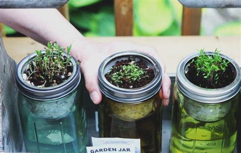 Mason Jar DIY Kitchen Herbs Garden | Vitacost Blog