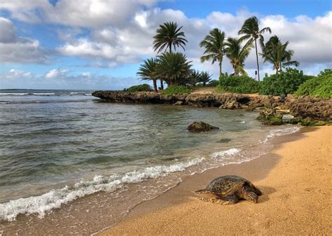 Last Minute Private Island Tour For Two Review Of Blue Hawaii Photo