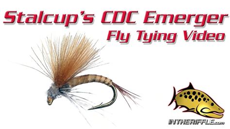 Stalcups Cdc Emerger Fly Tying Video Instructions Youtube