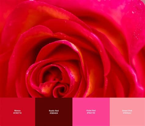 shades  red  color  names hex rgb cmyk codes