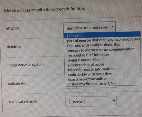 Solved Match Each Term With Its Correct Definition Effector Chegg