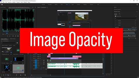 Change An Image Opacity In Adobe Premiere Pro Youtube