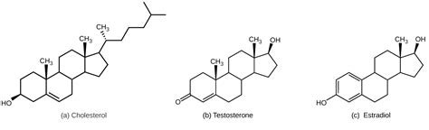 Types Of Hormones Biology For Majors Ii