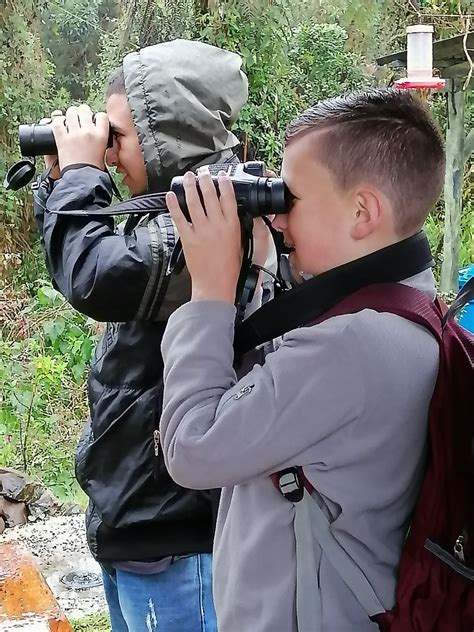 Visita Reserva Festival Loro Orejiamarillo Aves Migratoria Flickr