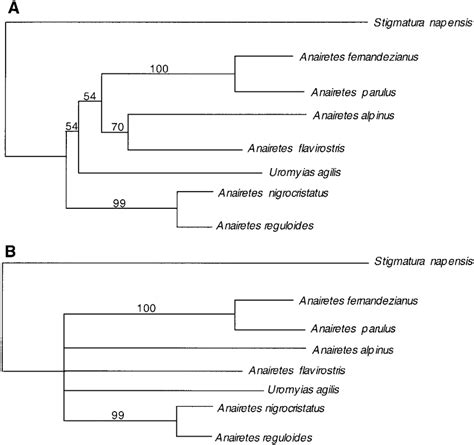 Phylogenetic Trees Recovered From Dna Sequences From Species Of The Download Scientific Diagram